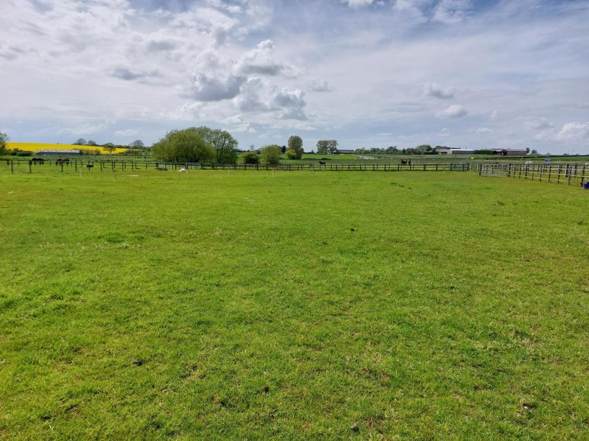 Braemar Equestrian, East Riding Of Yorkshire Hotel Burton Pidsea Exterior photo